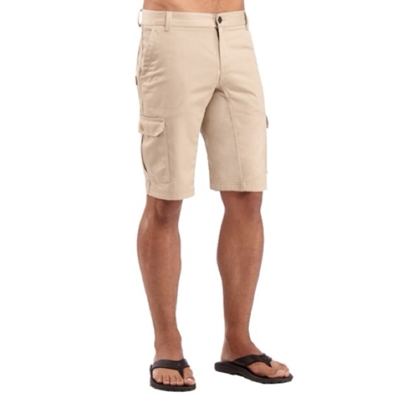 Icebreaker Men's Rover Cargo Shorts Wool-Cotton Blend Tan Size 30 - Picture 1 of 9